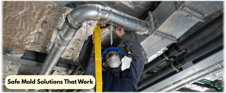 Air Duct Mold Removal in Dallas