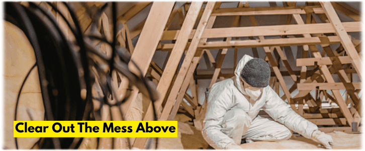 Attic Cleaning Dallas