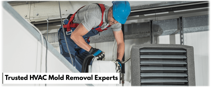 HVAC Mold Removal Dallas